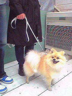Image7029.jpg