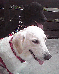 Image066.jpg