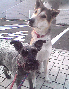Image127.jpg