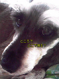 Image669.jpg