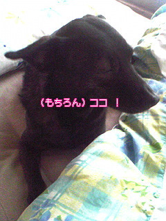 Image087.jpg