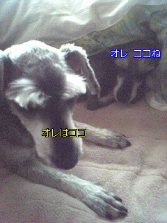 Image093.jpg