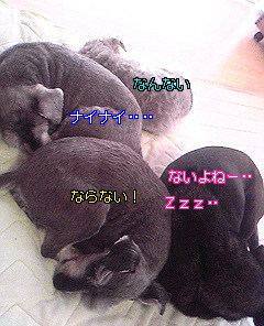 Image078.jpg