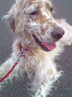 Image537.jpg