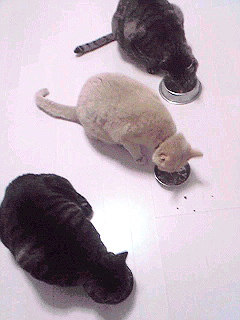 Image668.jpg