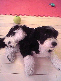 Image659.jpg