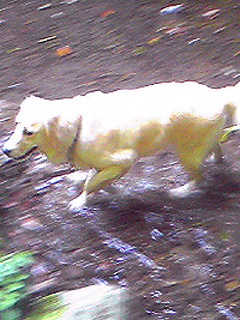 Image514.jpg