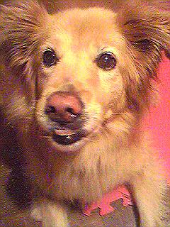 Image7231.jpg