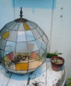 20100610184905.jpg
