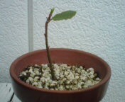 20100611122530.jpg