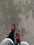 resized_01.jpg