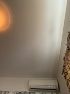 resized_01.jpg