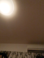 resized_01.jpg