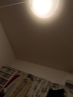resized_01.jpg