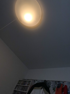 resized_01.jpg