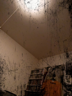 resized_01.jpg