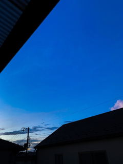 resized_01.jpg
