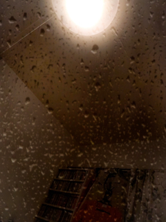 resized_01.jpg