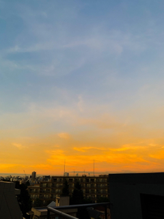 resized_01.jpg