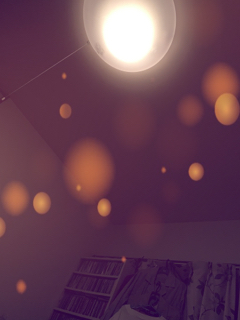 resized_01.jpg
