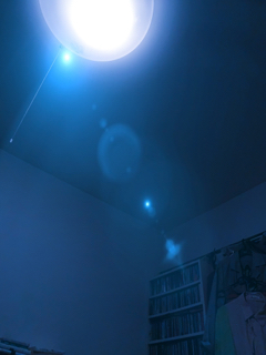 resized_01.jpg