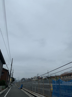 resized_01.jpg