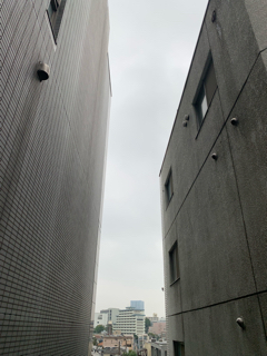 resized_01.jpg