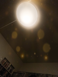 resized_01.jpg