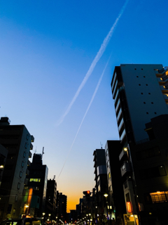 resized_01.jpg