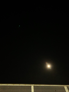 resized_01.jpg