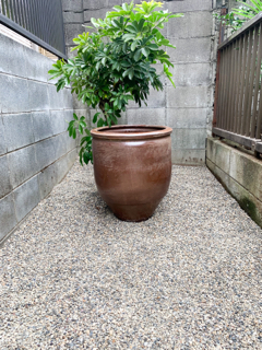 resized_01.jpg