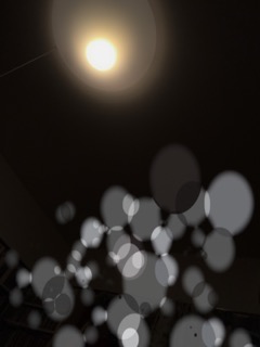 image1.jpeg