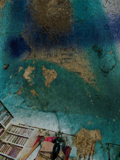 resized_01.jpg