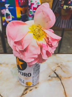 image1.jpeg