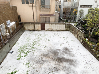 resized_01.jpg