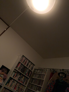 resized_01.jpg