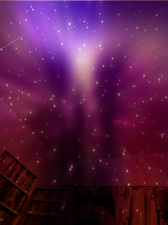 resized_01.jpg