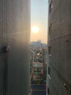 resized_01.jpg