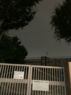 resized_01.jpg