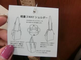 W320Q75_CIMG0975.JPG