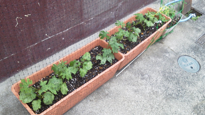 2012061116220000.jpg