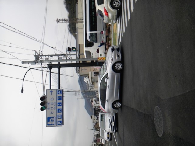 SH3F0015.jpg
