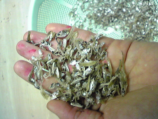 08060001.jpg