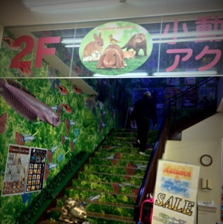 ひごペット