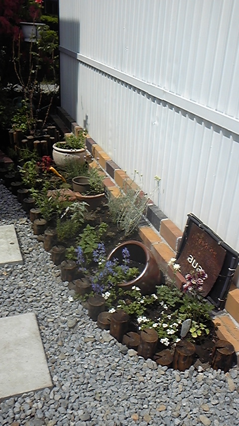 DVC00123.JPG