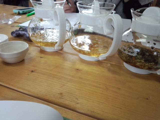 IMG_20130311_134255.jpg