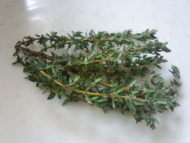 IMG_20130430_075029.jpg