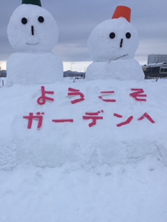 image1.jpeg