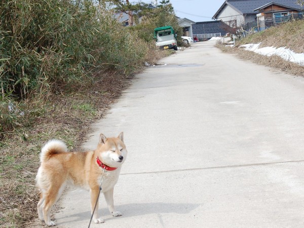 陽がまぶしい