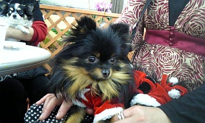 071222_150101_ed.jpg
